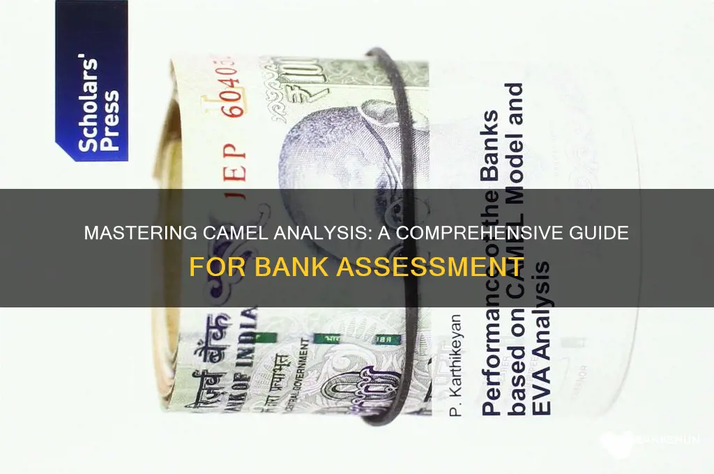 how to do camel analysis for banks