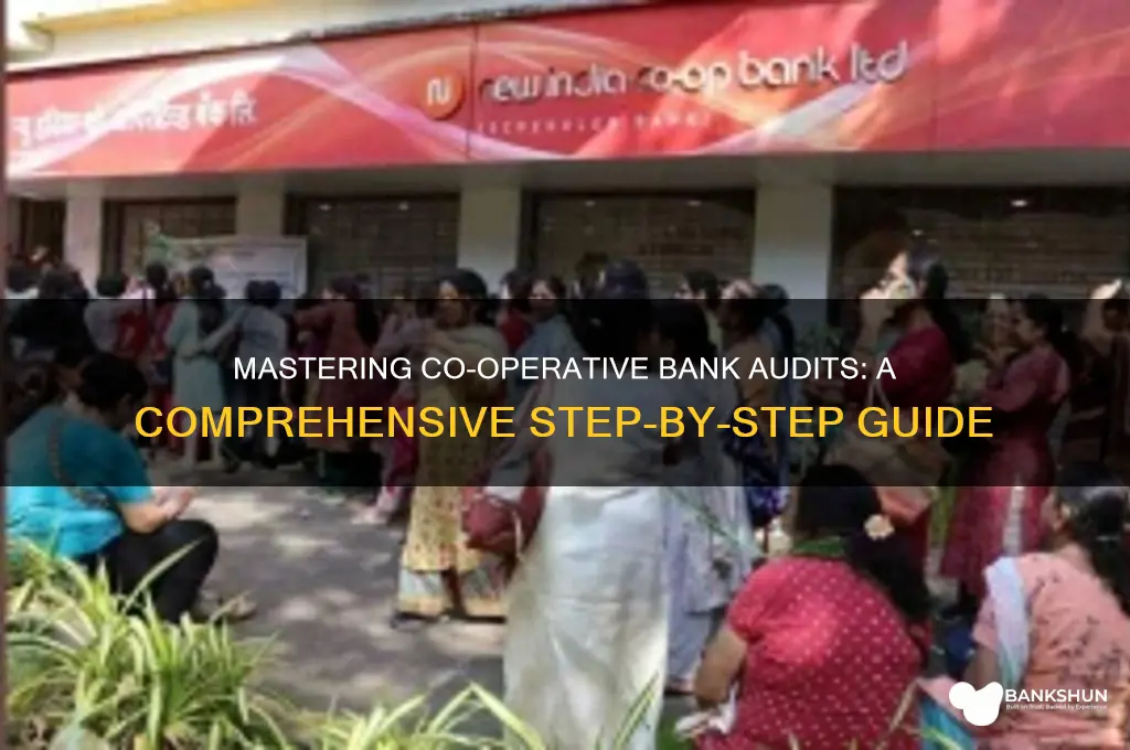 how to do co operative bank audit