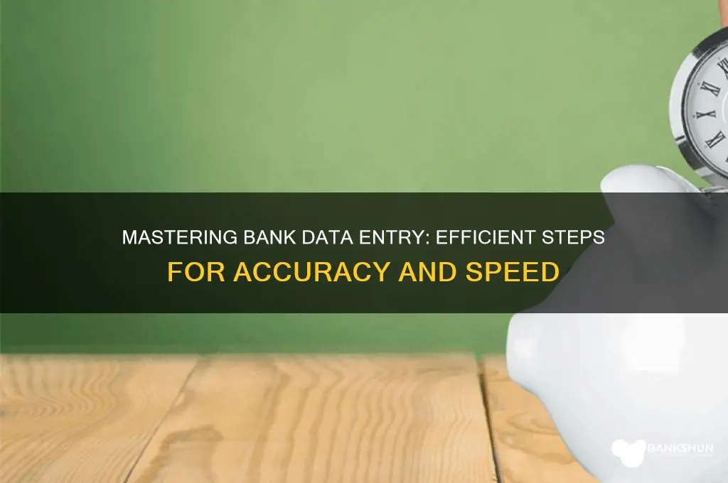 how to do data entry in bank