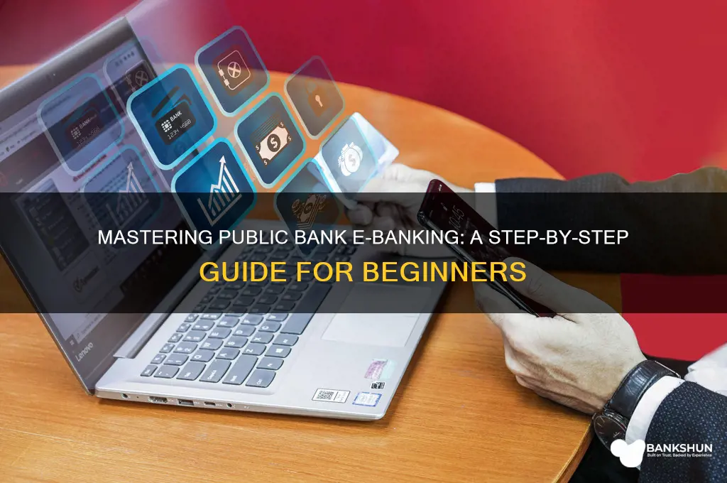 how to do e banking public bank