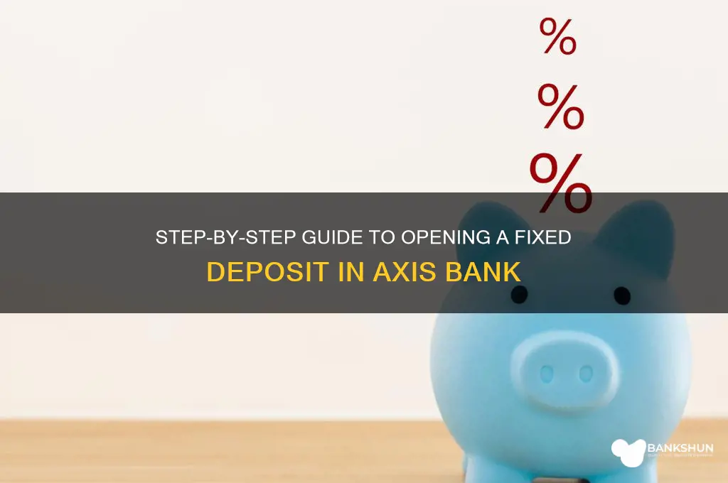 how to do fd in axis bank