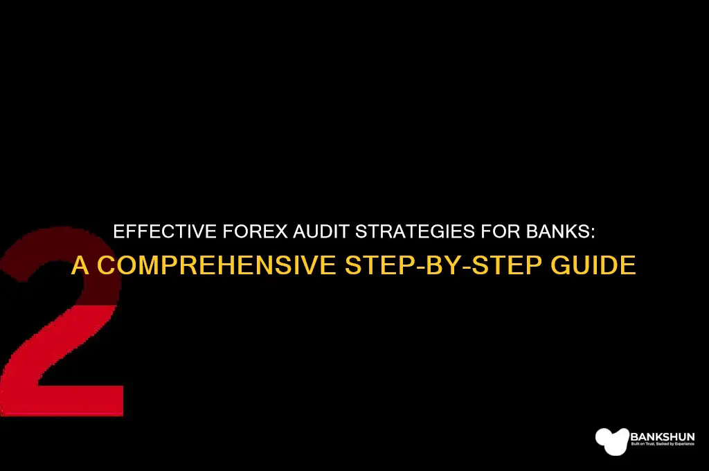 how to do forex audit in banks