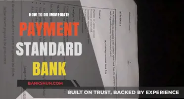 Quick Guide: Making Immediate Payments with Standard Bank Easily