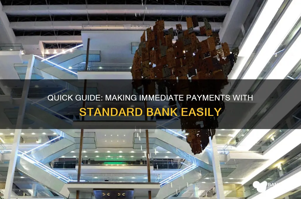 how to do immediate payment standard bank