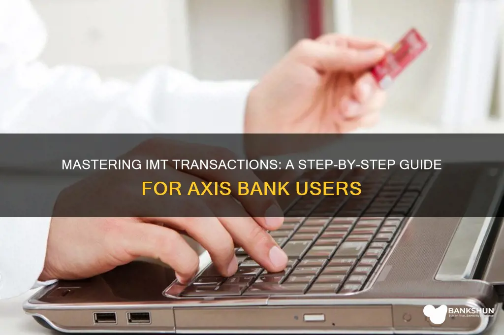 how to do imt in axis bank