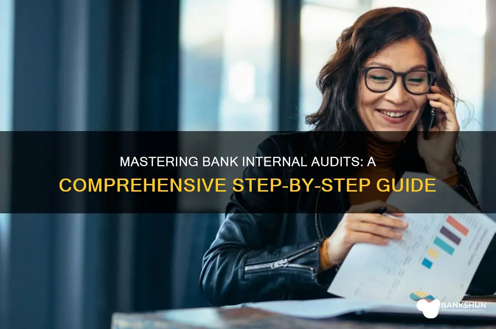 how to do internal audit of banks