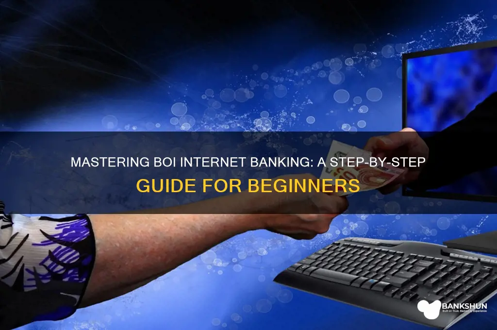 how to do internet banking in boi