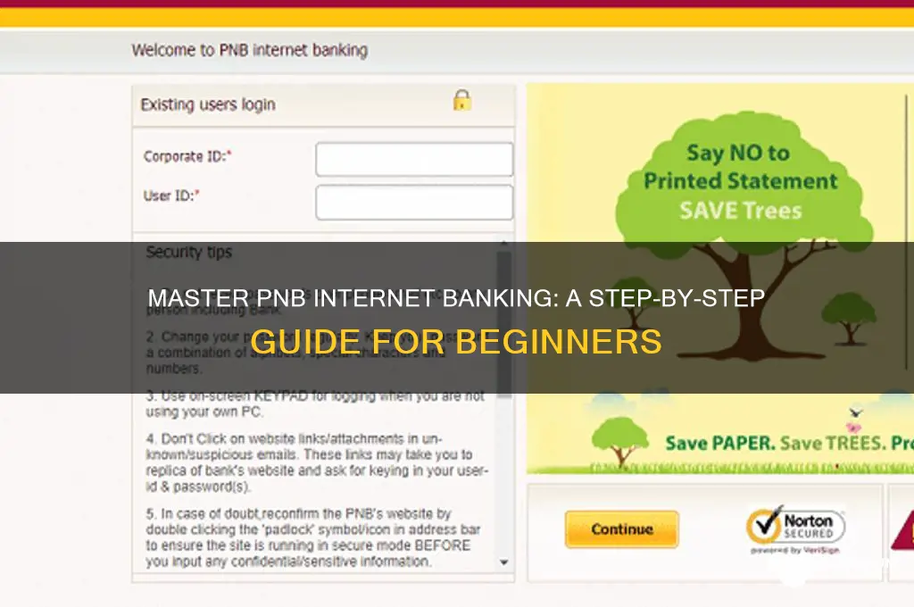 how to do internet banking in pnb