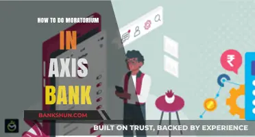 Axis Bank Moratorium Guide: Steps to Apply and Benefits Explained
