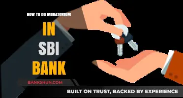 SBI Moratorium Guide: Steps to Apply and Manage Your Loan Repayments