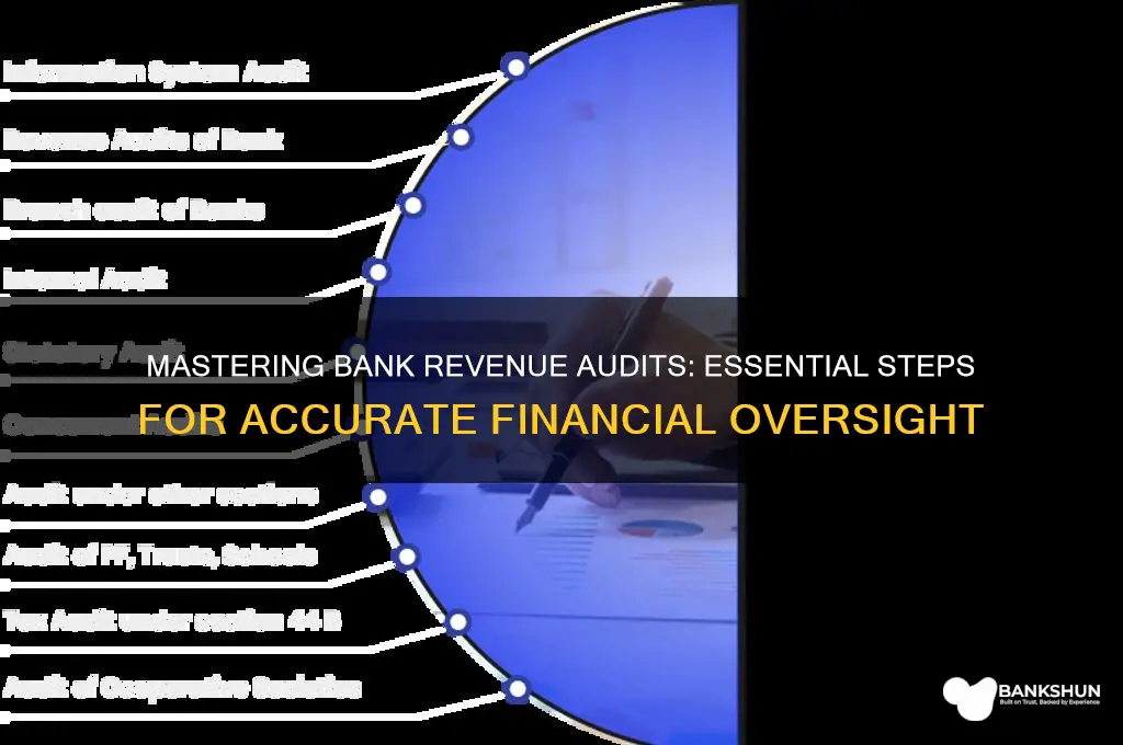 how to do revenue audit of banks