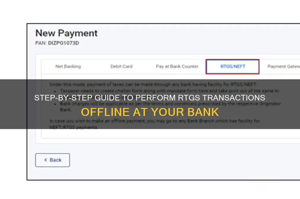 how to do rtgs from bank offline