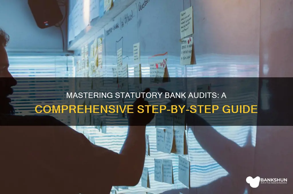 how to do statutory audit of banks
