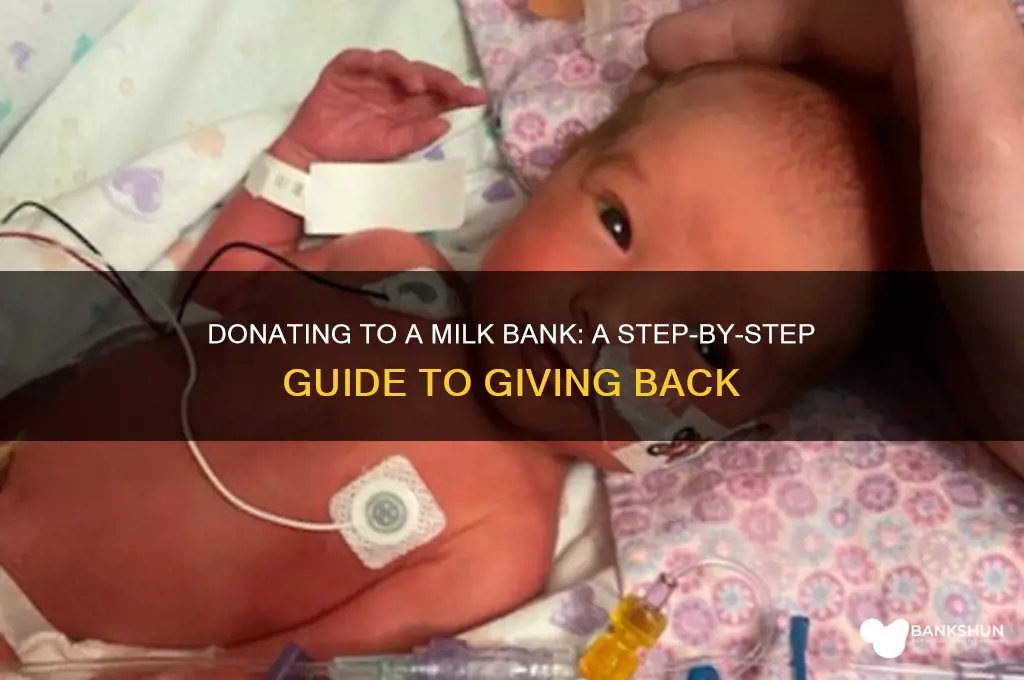 how to donate to a milk bank