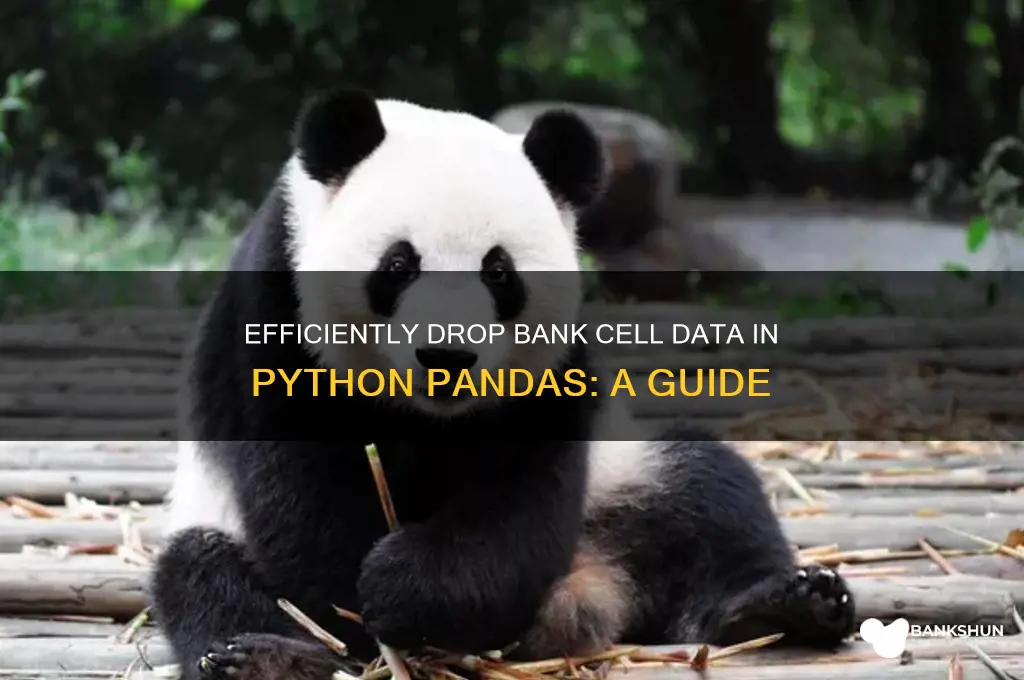 how to drop bank cell python pandas