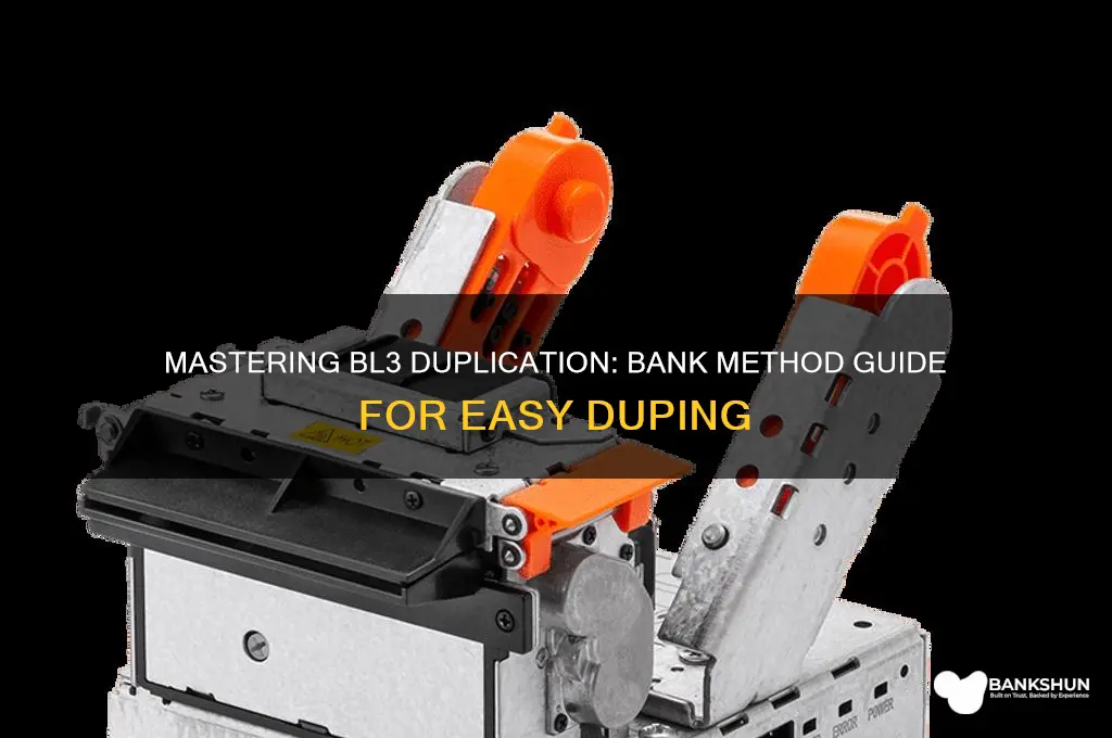 how to dupe in bl3 with bank