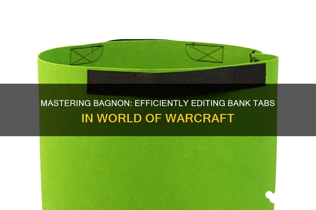 how to edit bank tabs with bagnon