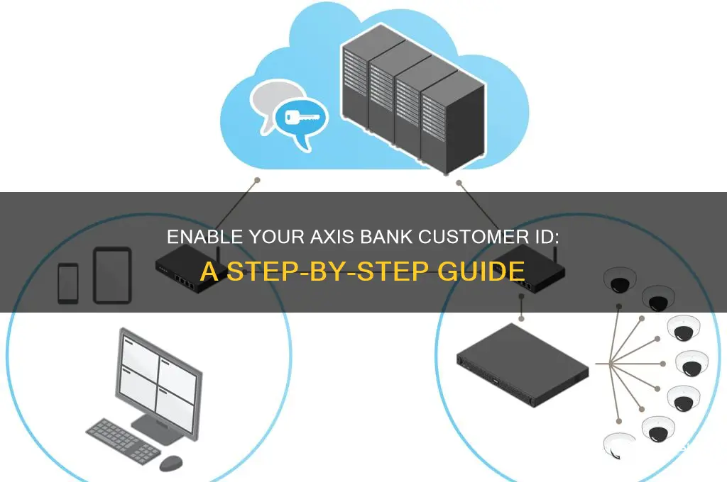 how to enable axis bank customer id