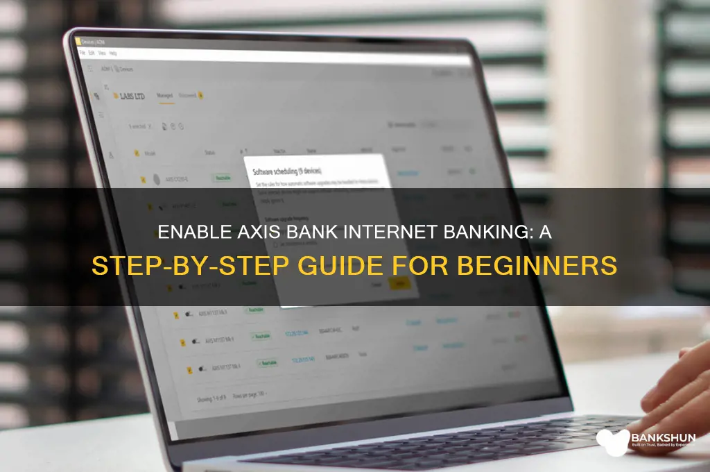 how to enable internet banking in axis