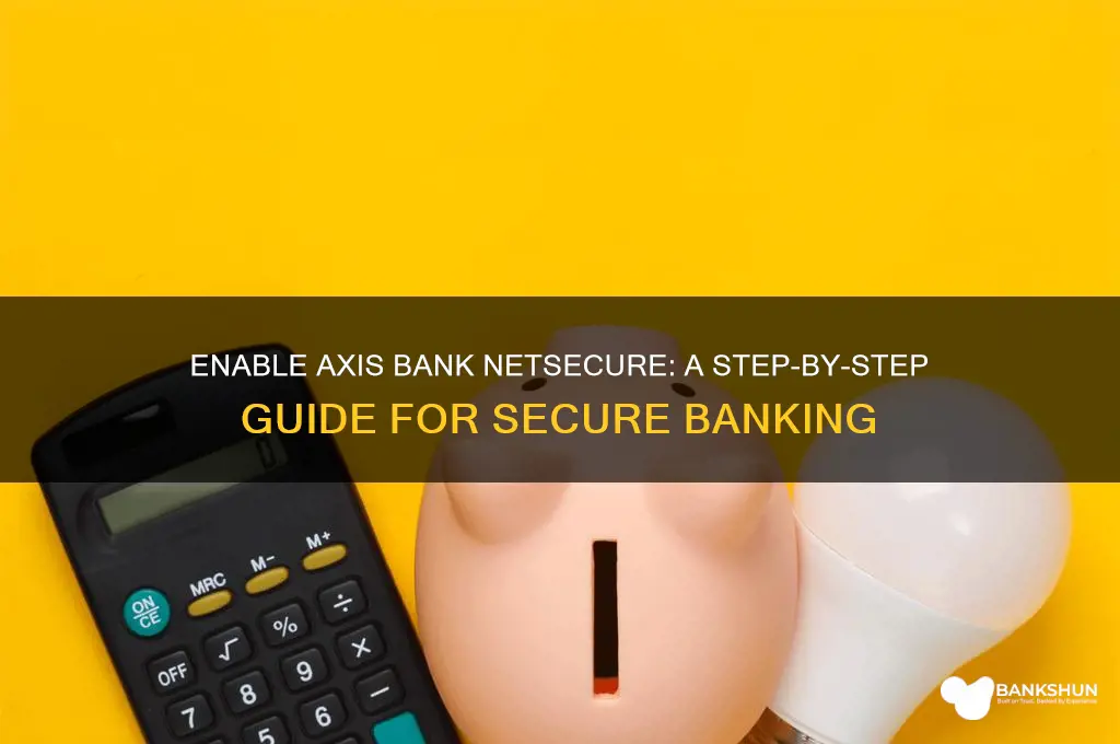 how to enable netsecure in axis bank