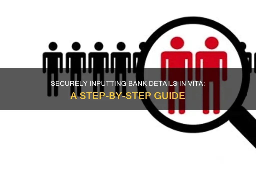 how to enter bank information in vita