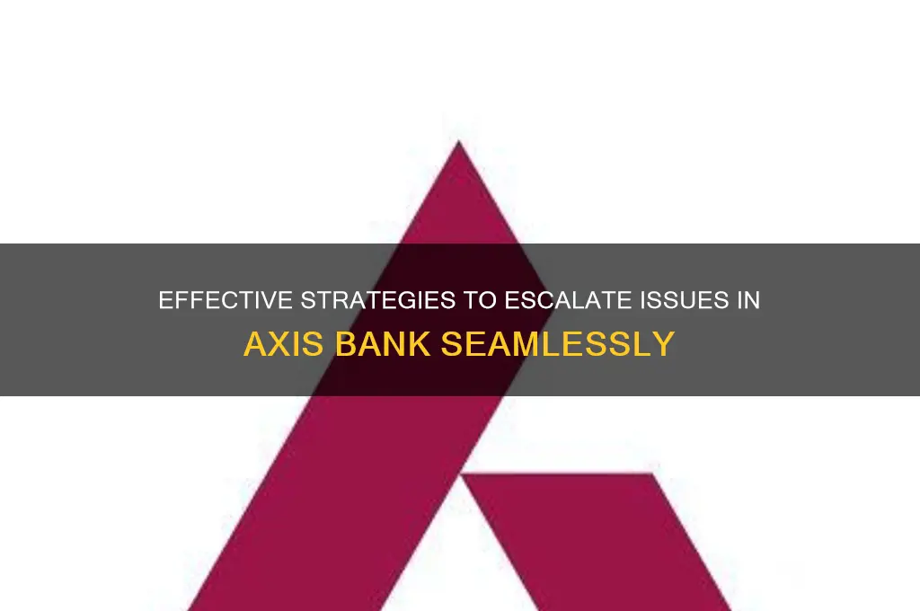 how to escalate issues in axis bank