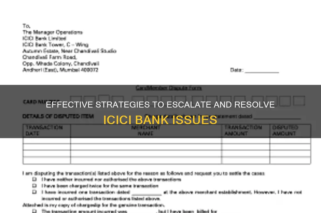 how to escalate issues with icici bank