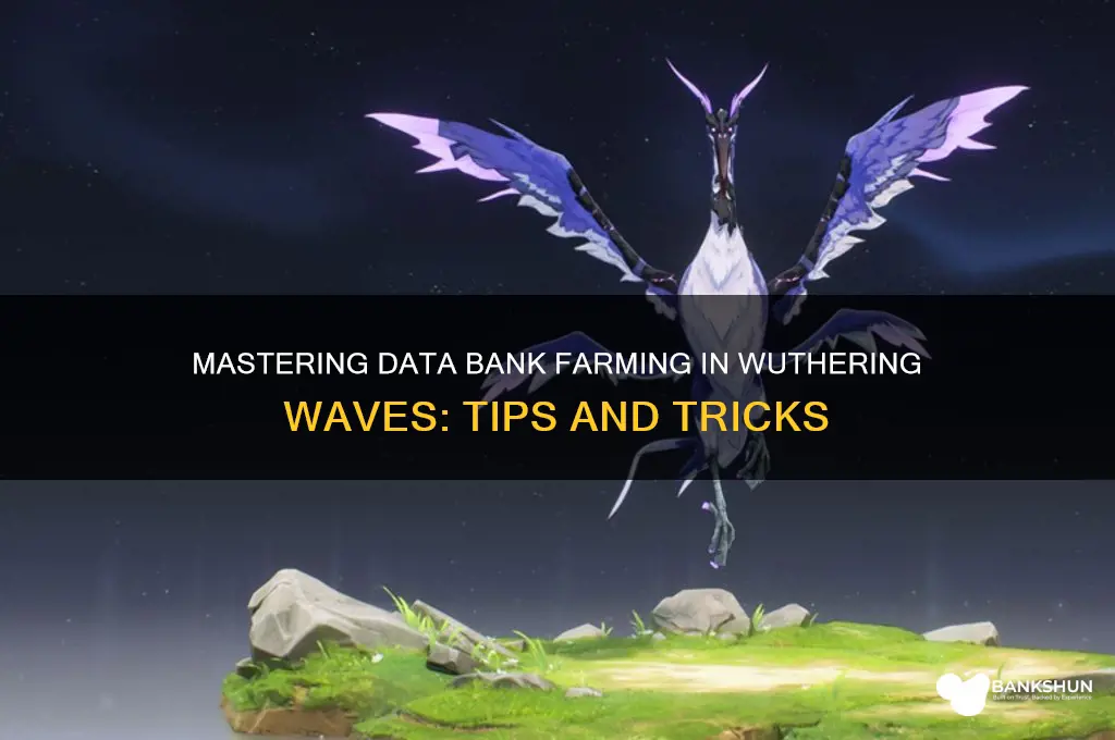 how to farm data bank wuthering waves