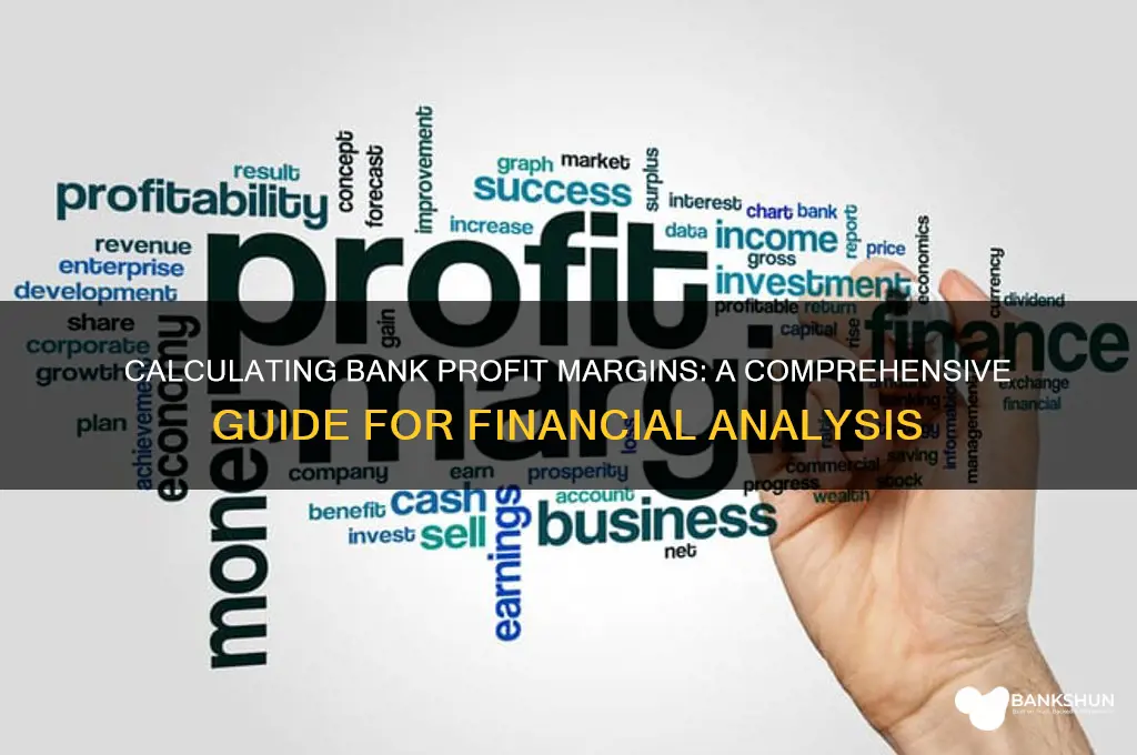 how to figure profit margin in banks