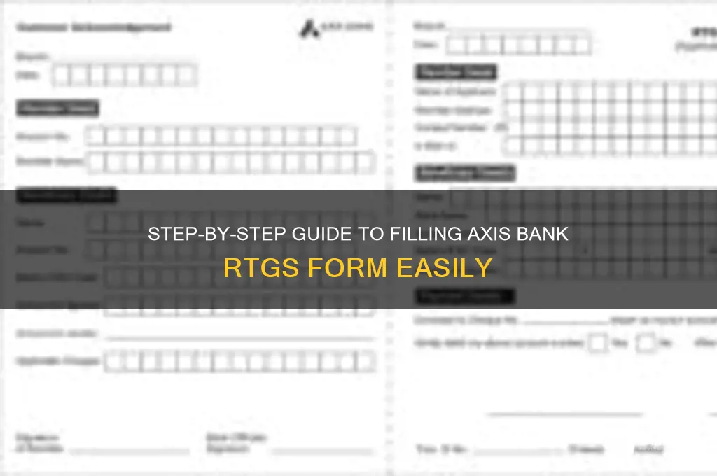 how to fill axis bank rtgs form