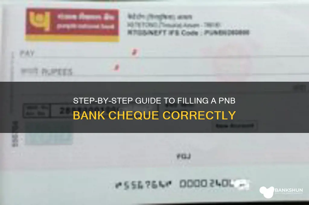 how to fill cheque of pnb bank