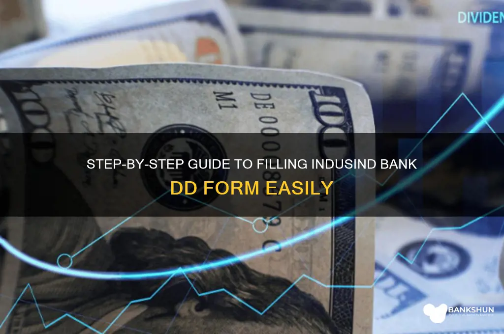 how to fill dd form indusind bank
