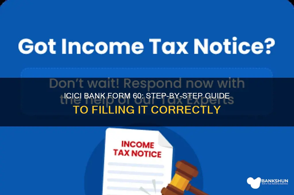 how to fill form 60 icici bank