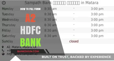 Step-by-Step Guide to Filling HDFC Bank's Form A2 Easily