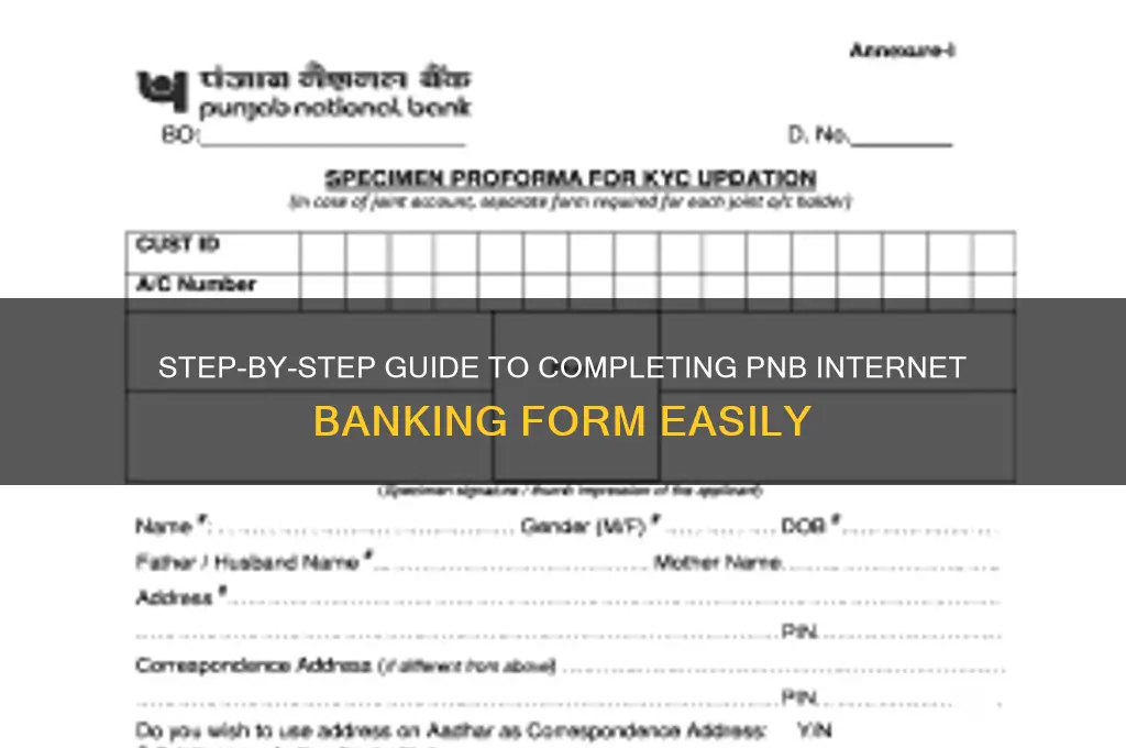 how to fill pnb internet banking form