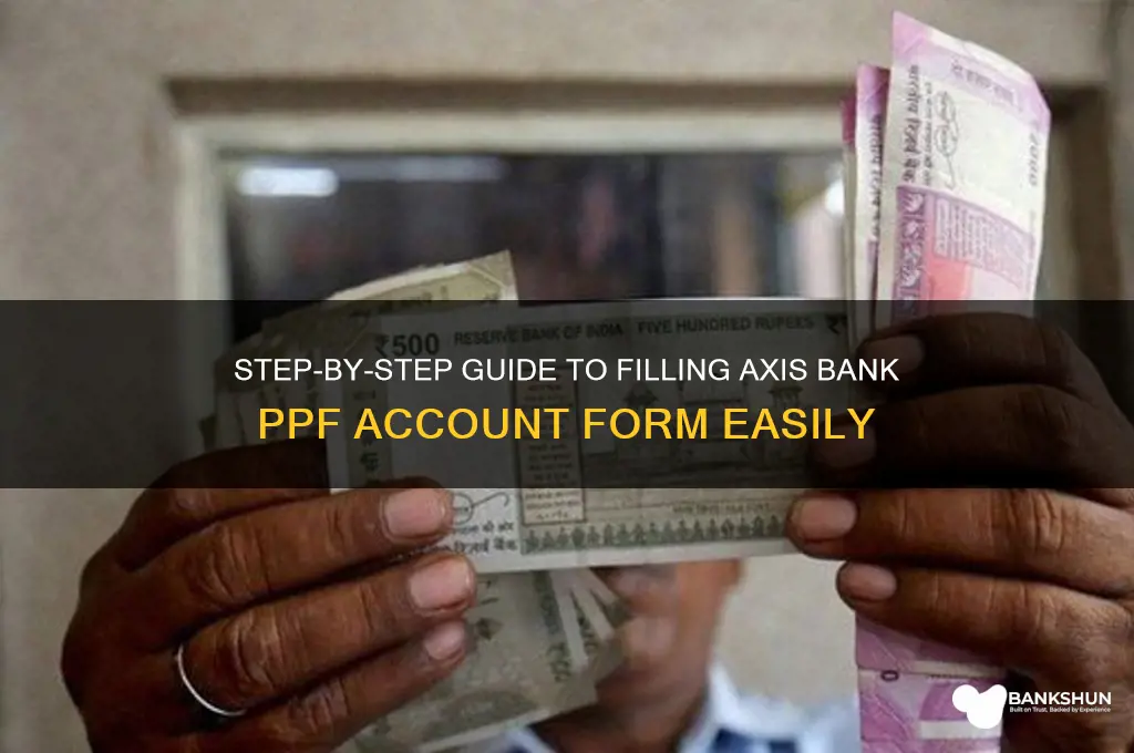 how to fill ppf form axis bank