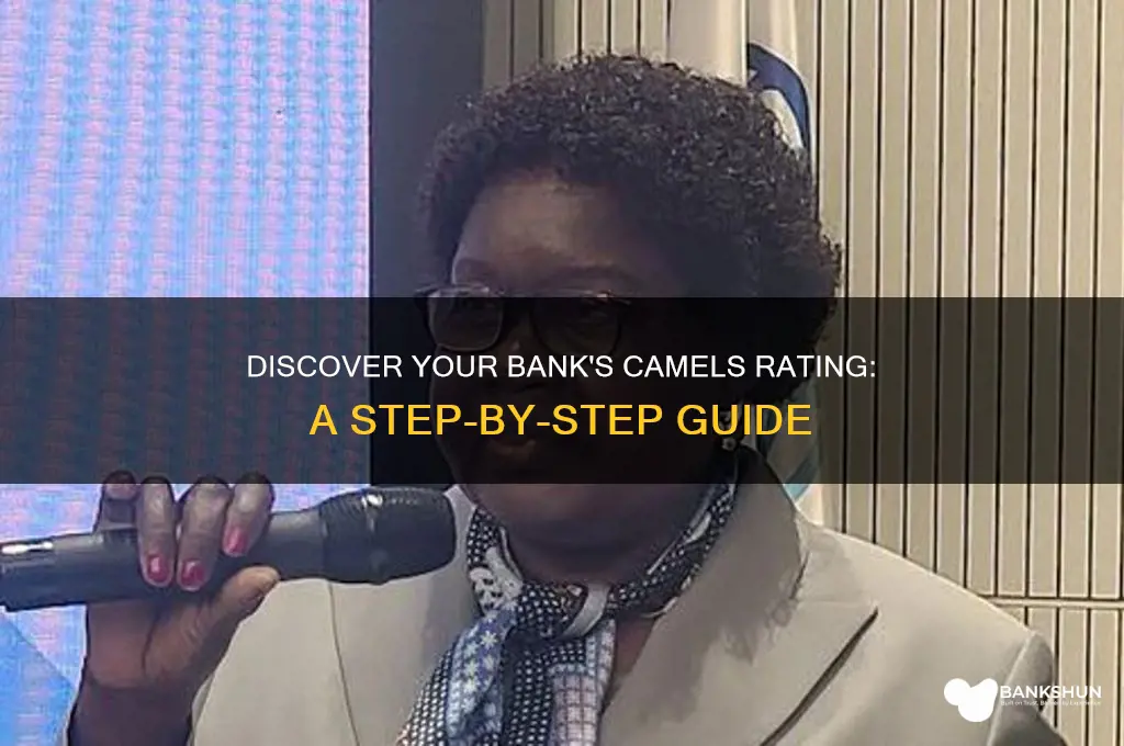 how to find a banks camels rating