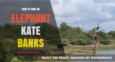 Discovering Elephants: A Guide to Kate Banks' Heartwarming Tale