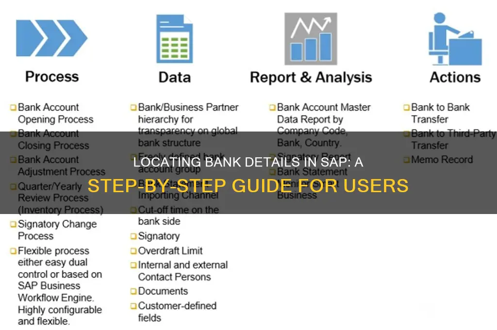 how to find bank details in sap