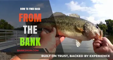 Master Bank Fishing: Proven Techniques to Locate Bass Easily