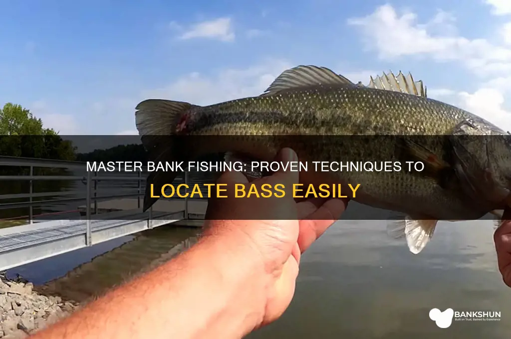 how to find bass from the bank