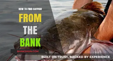 Bank Fishing Secrets: Spotting and Catching Catfish Like a Pro