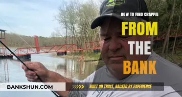 Bank Fishing Secrets: Locating and Catching Crappie with Ease