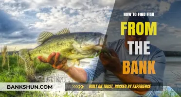 Bank Fishing Secrets: Locating and Catching Fish Effectively from Shore
