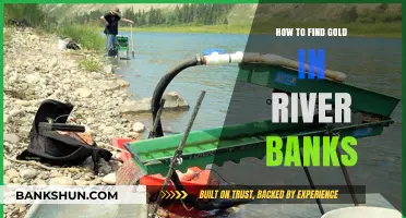 Discover Hidden Gold: Expert Tips for Riverbank Prospecting Success