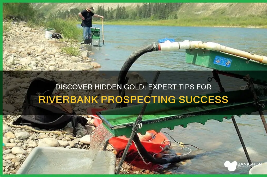 how to find gold in river banks