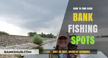 Discover Hidden Bank Fishing Gems: Tips for Finding Prime Spots