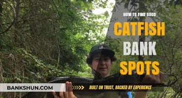 Top Strategies for Locating Prime Catfish Bank Fishing Spots