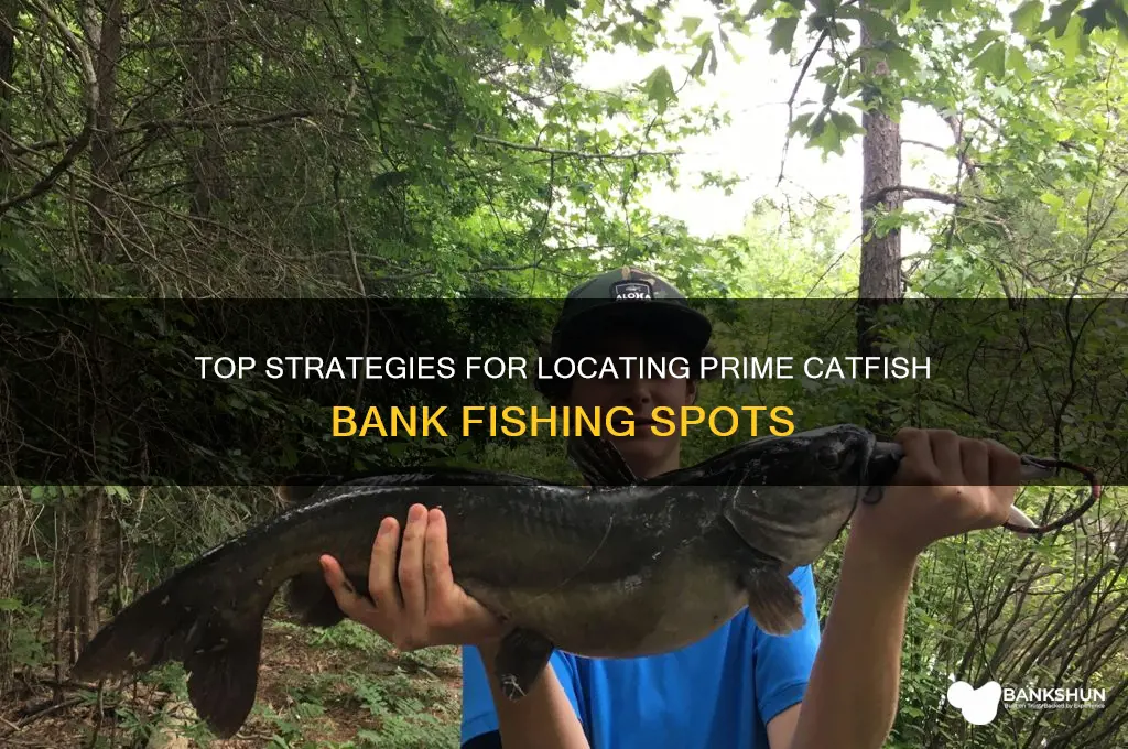 how to find good catfish bank spots