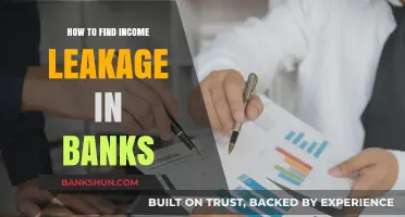Uncovering Hidden Losses: Strategies to Identify Income Leakage in Banks